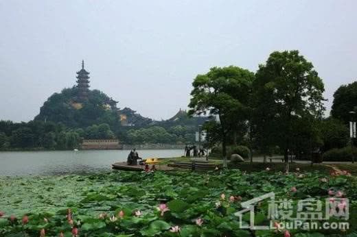 金山东街配套图